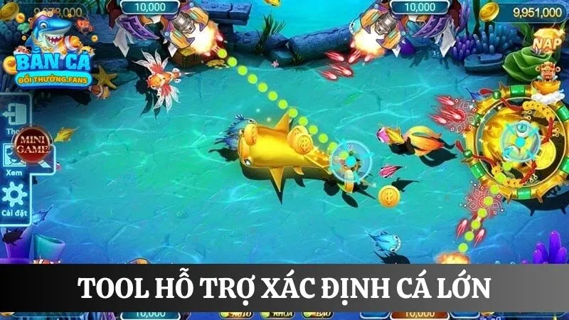 Giải mã tool bắn cá: Bí quyết săn mồi bách trúng bách thắng 3 Công cụ xác định cá lớn