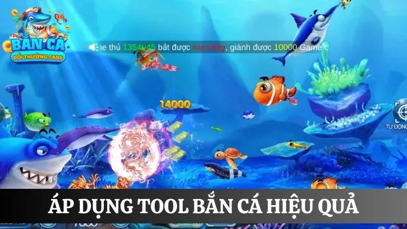 Giải mã tool bắn cá: Bí quyết săn mồi bách trúng bách thắng 4 Lên chiến thuật săn mồi theo tool hiệu quả