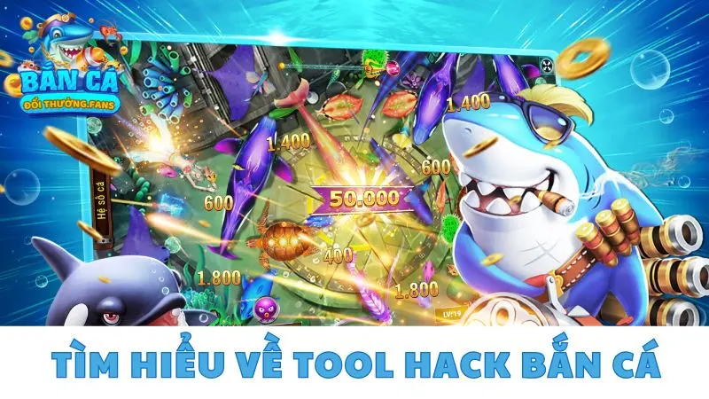 Tool hack bắn cá là gì? Cách tải và dùng hack game bắn cá 1 Tìm hiểu về tool hack bắn cá